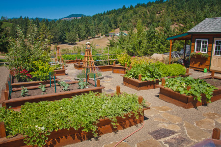The Raised Beds and Gardens at Reustle Vineyards