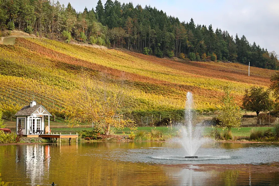 Reustle Prayer Rock Vineyards Pond