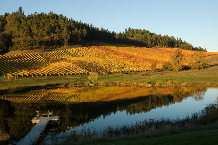 Picture of Romancing Rock Vineyards