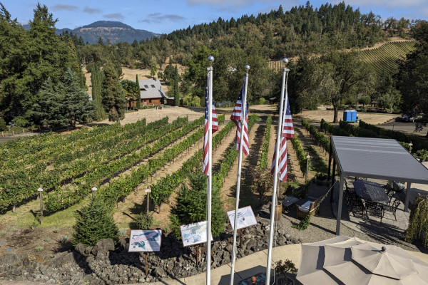 Labor Day Festivities