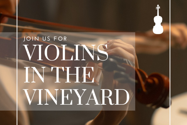 Violins in the Vineyard